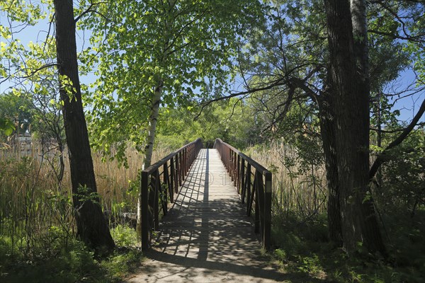 Small bridge to an island in the Saint Lawrence River