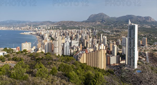 Skyscrapers of Benidorm as seen from La Creu