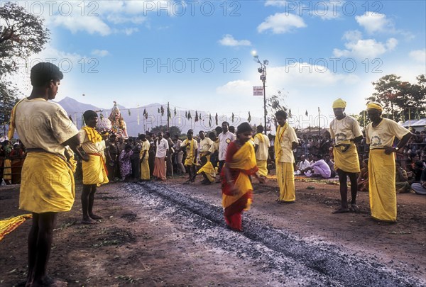 Fire walking festival at Vana Badra Kali Amman Temple at Nellithurai near Mettupalayam