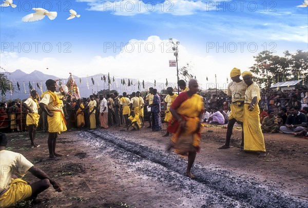 Fire walking festival at Vana Badra Kali Amman Temple at Nellithurai near Mettupalayam