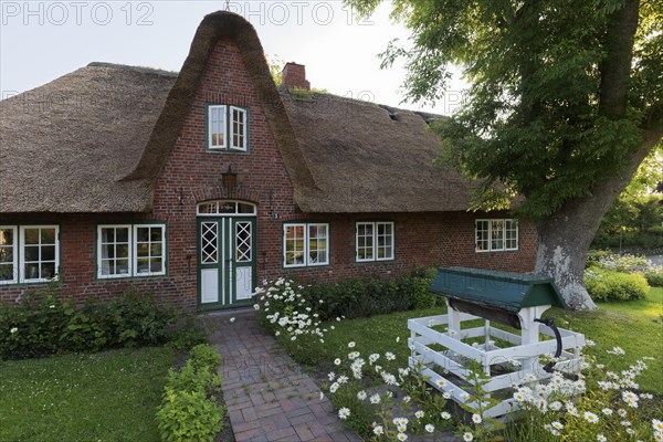 Frisian house with thatched roof