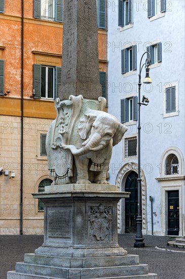 Pulcino della Minerva