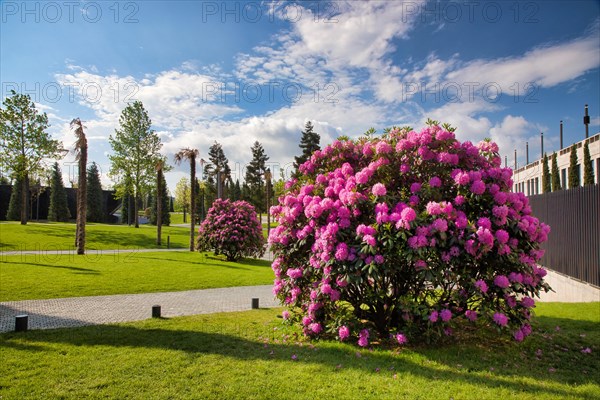 Park Galitskogo