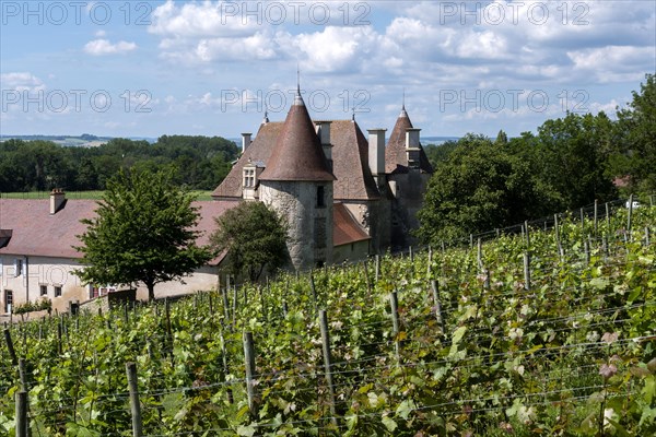 Chareil-Cintrat castle in the vineyards of Saint-Pourcain