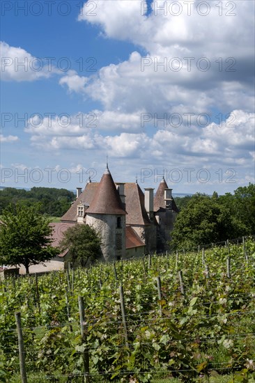 Chareil-Cintrat castle in the vineyards of Saint-Pourcain