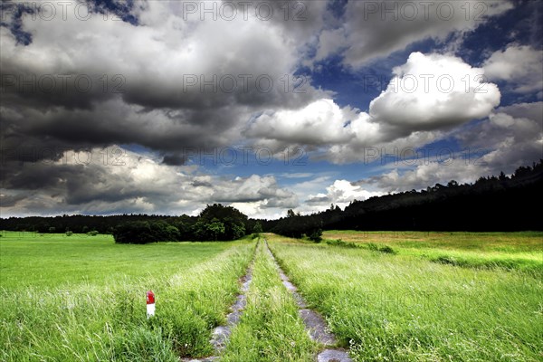 Kolonnenweg