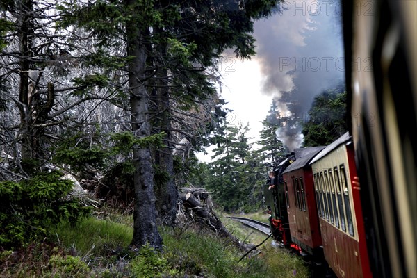 Harz narrow gauge railway