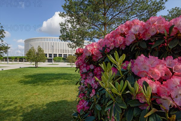 Park Galitskogo