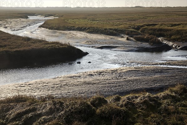 Tideways in the Wadden Sea