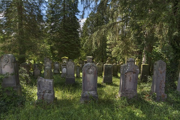 Historic Jewish cemetery