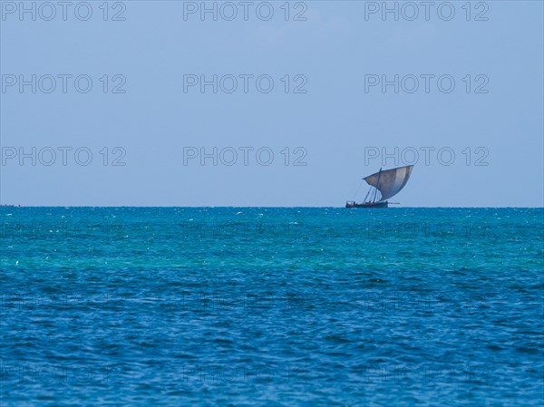 Dhow