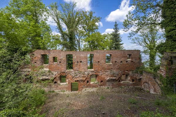 Ruins of Arendsee Monastery