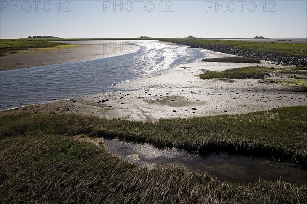 Landscape with tidal flat and mudflats