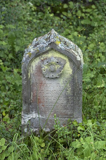 Gravestone with flower at the historic Jewish cemetery