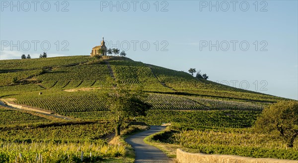 Chapel of Madonna