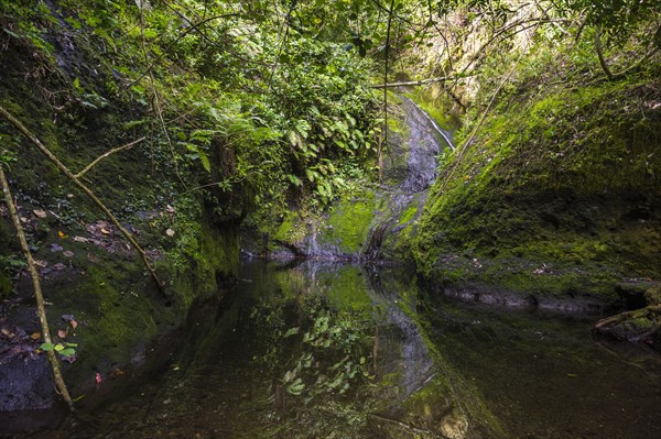 Wigmore's Waterfall