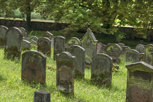 Historic Jewish cemetery