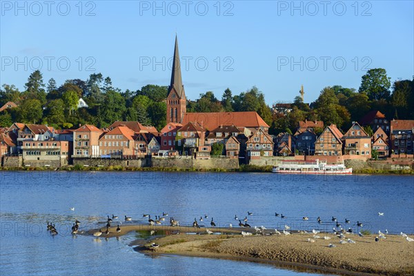 Lauenburg an der Elbe