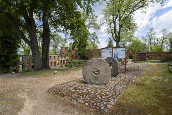 Ruins of Arendsee Monastery