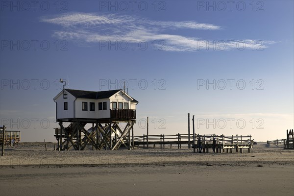 Pile dwelling in the mudflats at low tide