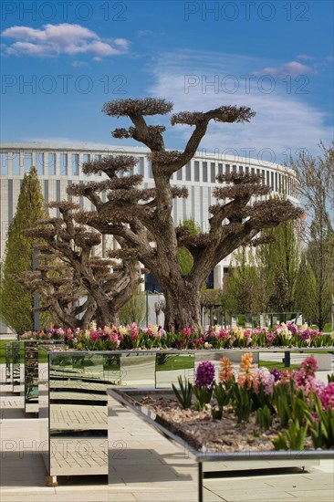 Stadium Krasnodar