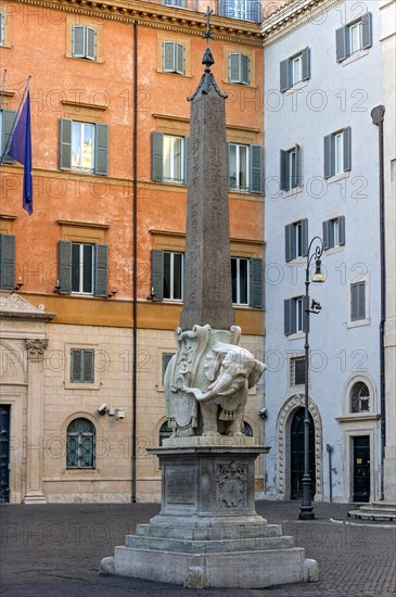 Pulcino della Minerva