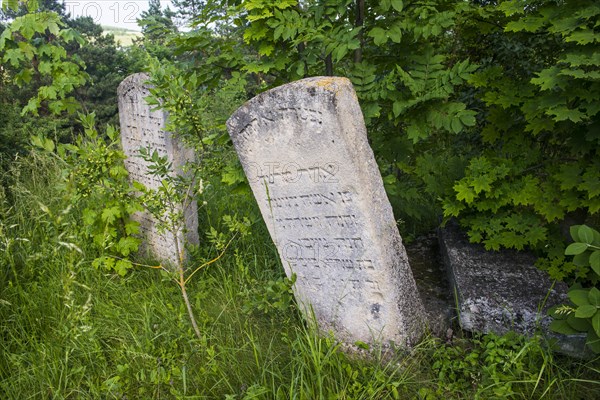 Jewish cemetery in Buchach