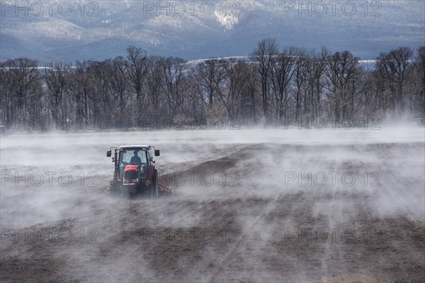 Tractor seeding a field while it is vaporating from the warm ground