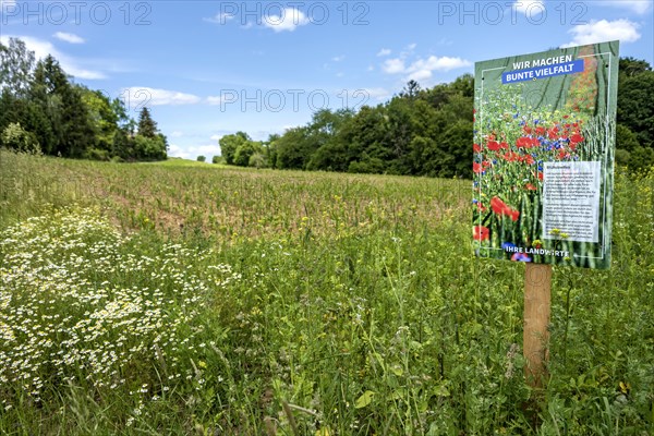 Flowering strips as habitat for small animals and insects on agricultural land with advertising poster for colourful diversity