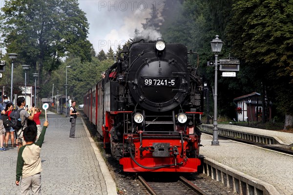 Harz narrow gauge railway in the station