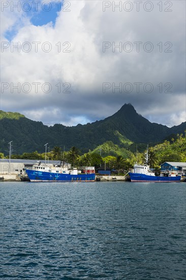 Fishing harbour of Avarua