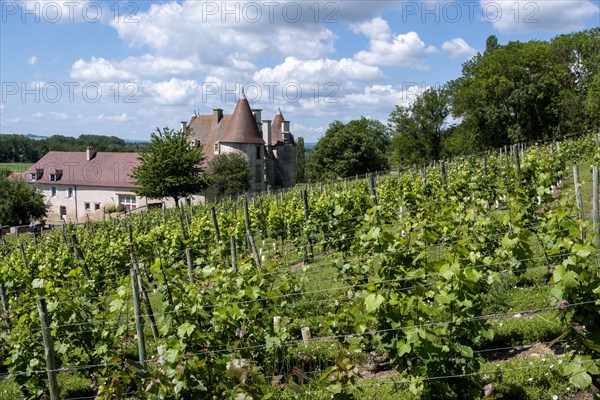 Chareil-Cintrat castle in the vineyards of Saint-Pourcain