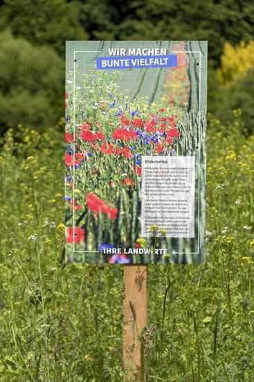 Flowering strips as habitat for small animals and insects on agricultural land with advertising poster for colourful diversity