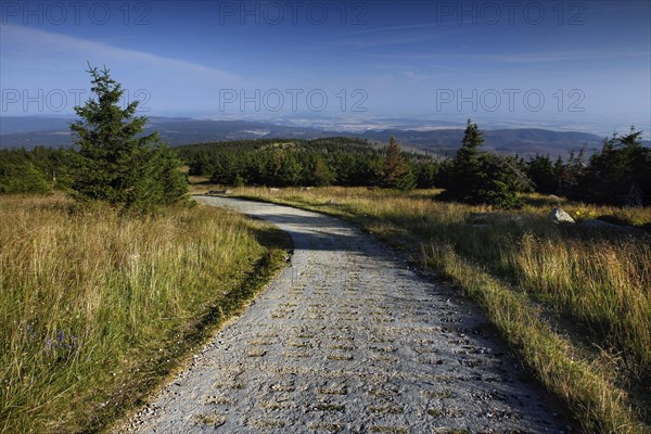 Column Trail