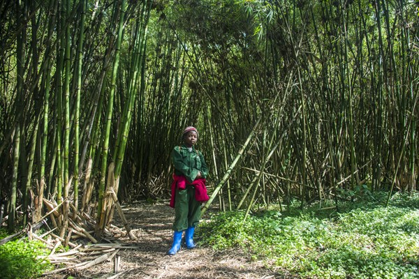 Female guide standing in a bamboo forest in the Virunga National Park