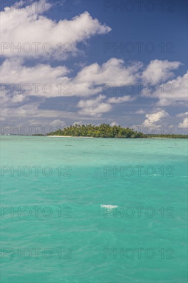 White sand beach and palm fringed beach in Aitutaki lagoon