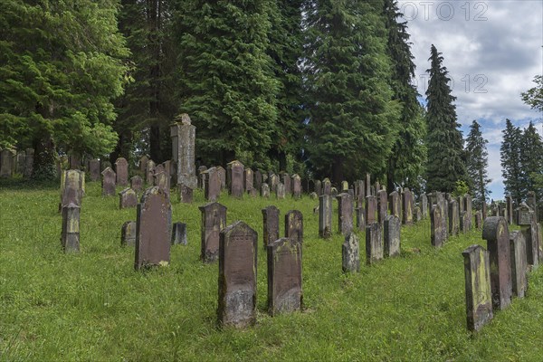 Historic Jewish cemetery