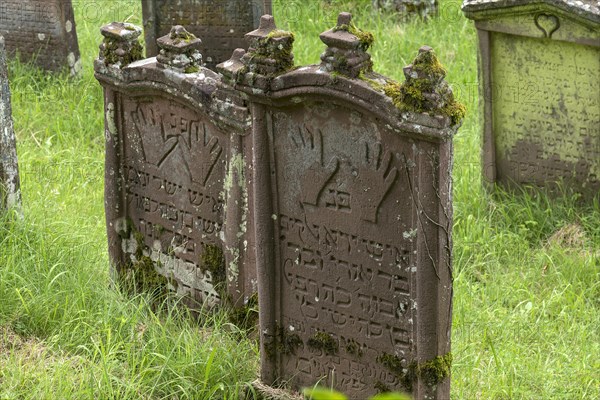 Gravestones with the symbol of the Priests' hands at the historic Jewish Cemetery