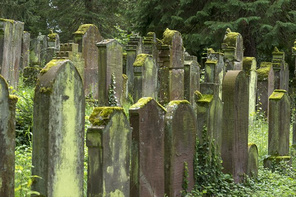 Historic Jewish cemetery