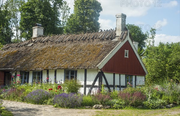 Old typical cottage with half timbered walls and thatched roof in Andrarum