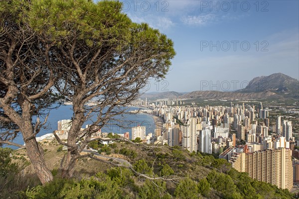 Skyscrapers of Benidorm as seen from La Creu