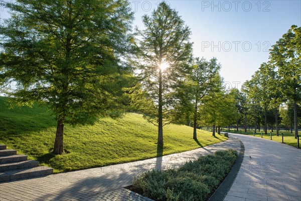 Nature in a Park Galitskogo