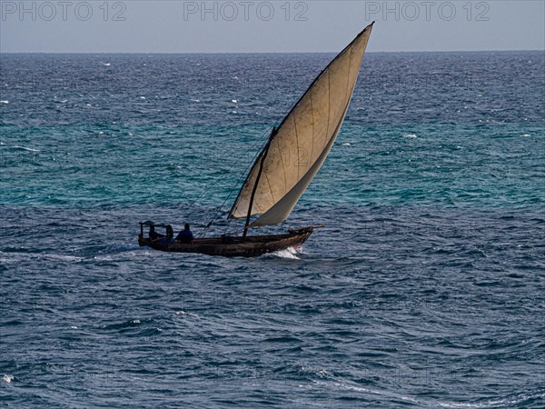 Dhow