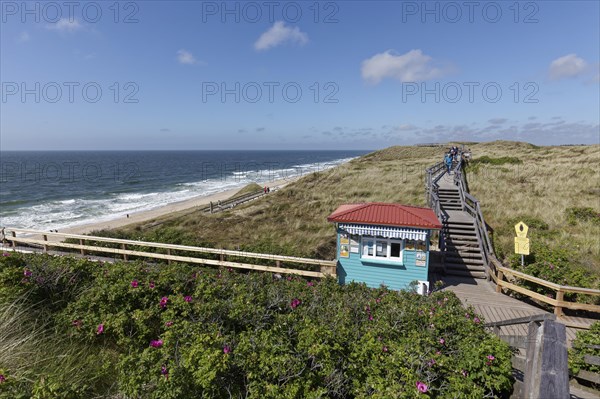 Beach and dune walkway on boardwalks