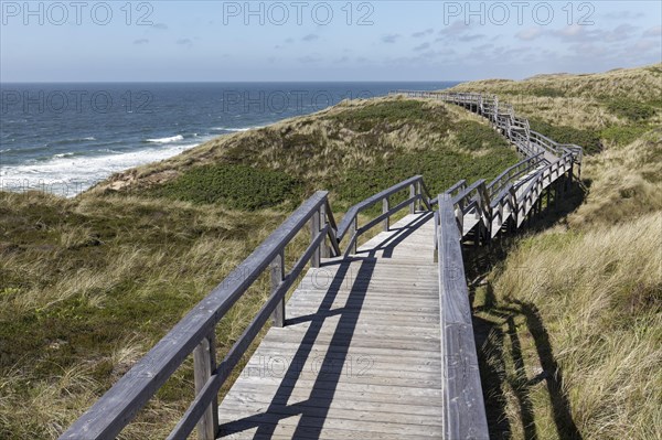 Dune hiking trail on boardwalks