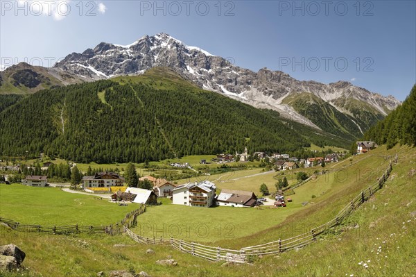 Mountain meadow with fence