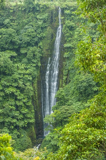 Papapapai-Tai Falls