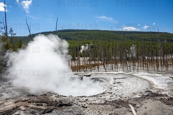 Steaming hot spring