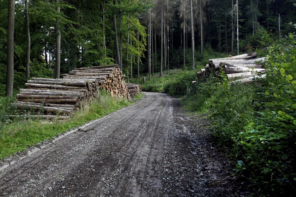 Hiking trail to the Teufelskanzel