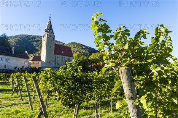 Filial church St Sigismund